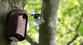 biodiversité Gradignan quartier Favard