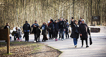 Ecole des adultes - déambulation en forêt